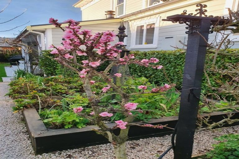 Photo of property in 197 Williams Street, Kaiapoi, 7630