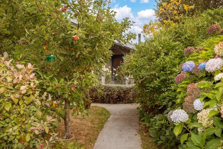 Photo of property in 19 Courtenay Street, St Albans, Christchurch, 8014