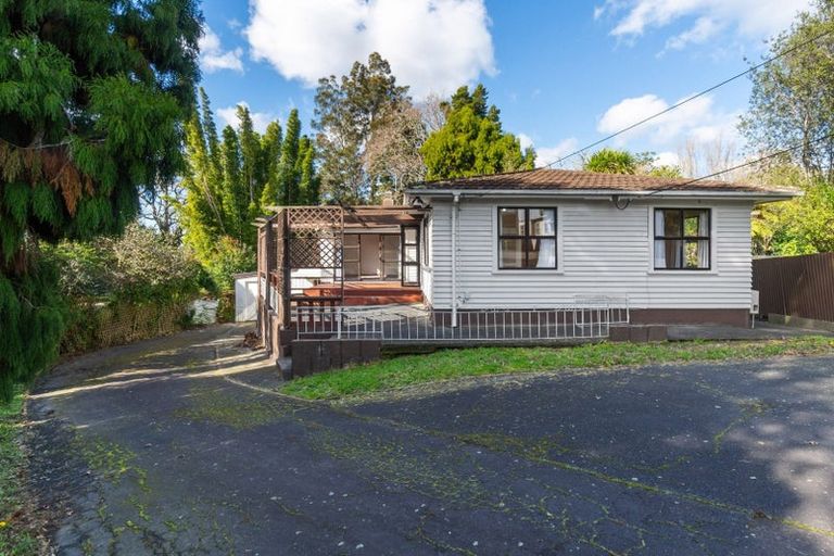 Photo of property in 21 Nikau Street, New Lynn, Auckland, 0600