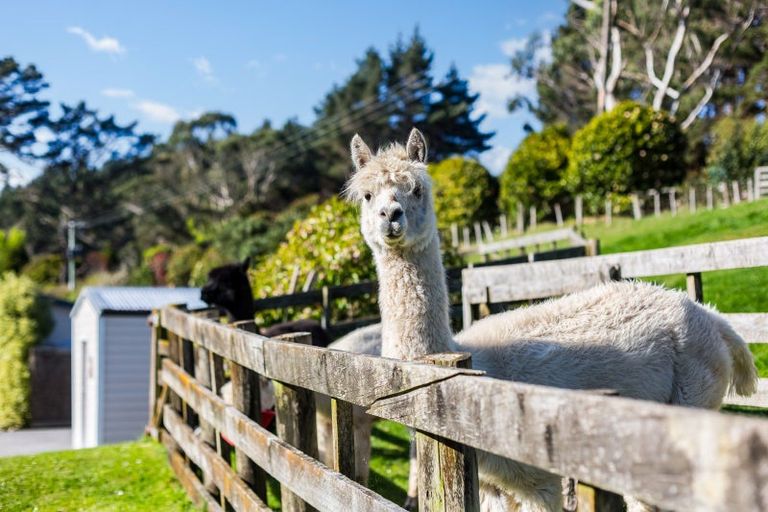 Photo of property in 997 Ohariu Valley Road, Ohariu, Wellington, 6037