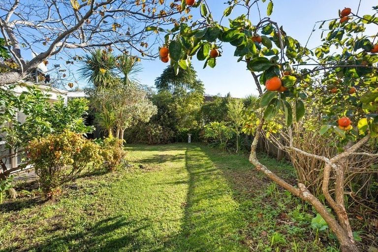 Photo of property in 13 Wicklow Road, Narrow Neck, Auckland, 0622