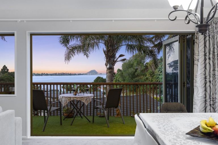 Photo of property in 202 Maungatapu Road, Maungatapu, Tauranga, 3112