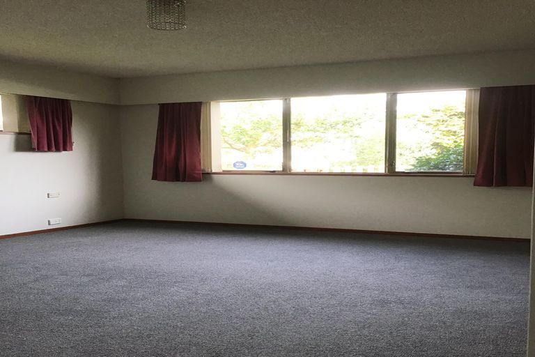 Photo of property in 53 Young Street, Morrinsville, 3300