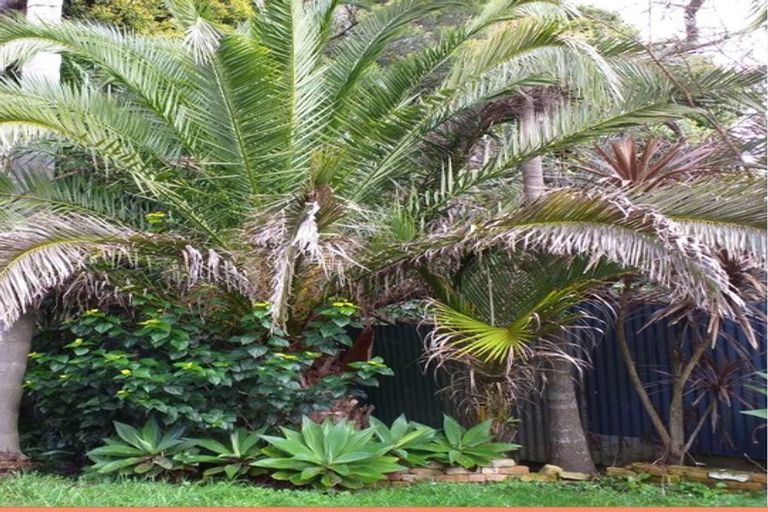 Photo of property in 11 Longview Rise, Massey, Auckland, 0614