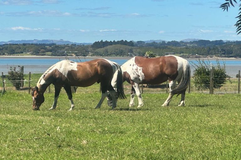 Photo of property in 96 Westhead Road, Pollok, Waiuku, 2683