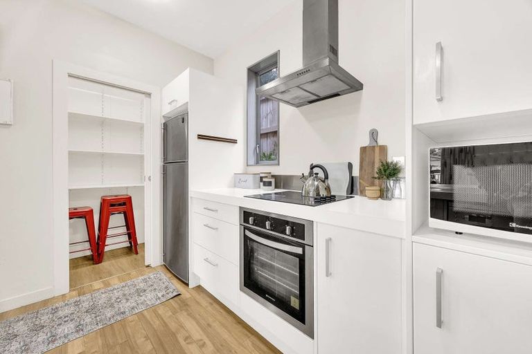 Photo of property in 3uj Papawai Terrace, Mount Cook, Wellington, 6021