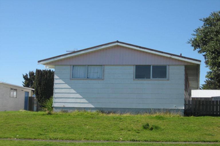 Photo of property in 45 Morgan Crescent, Levin, 5510