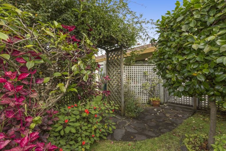 Photo of property in 269a Maungatapu Road, Maungatapu, Tauranga, 3112
