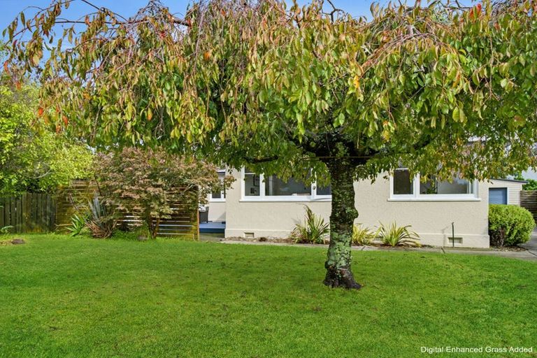 Photo of property in 22 Ferry Road, Whakatane, 3120