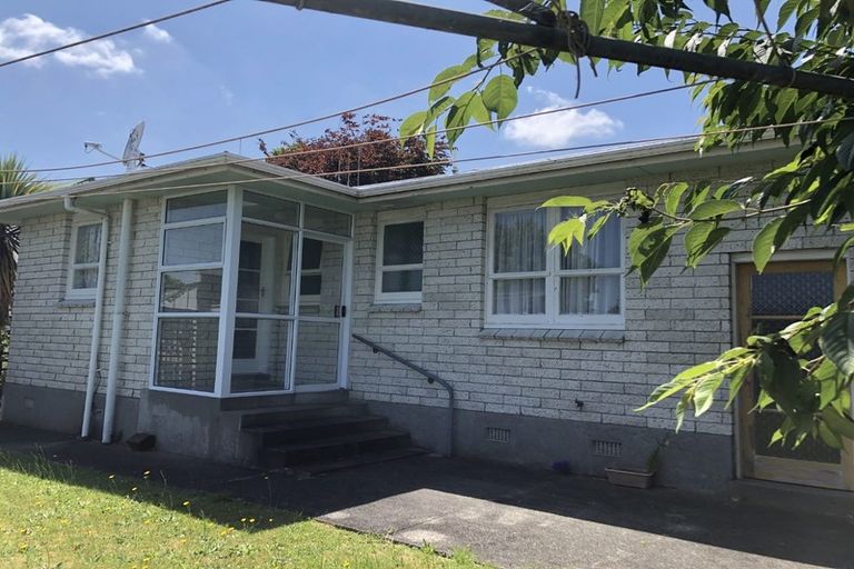 Photo of property in 149 Winchester Street, Levin, 5510