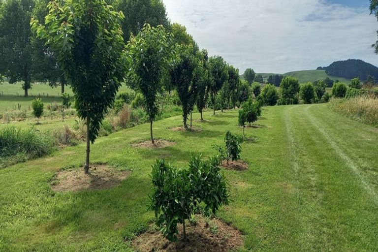 Photo of property in 155 Old Taupo Road, Arapuni, Putaruru, 3481