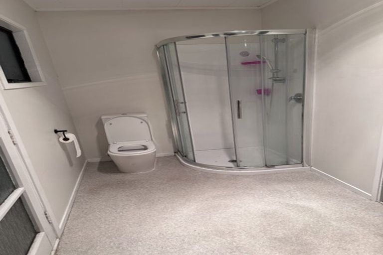 Photo of property in 133 Finlayson Avenue, Clendon Park, Auckland, 2103