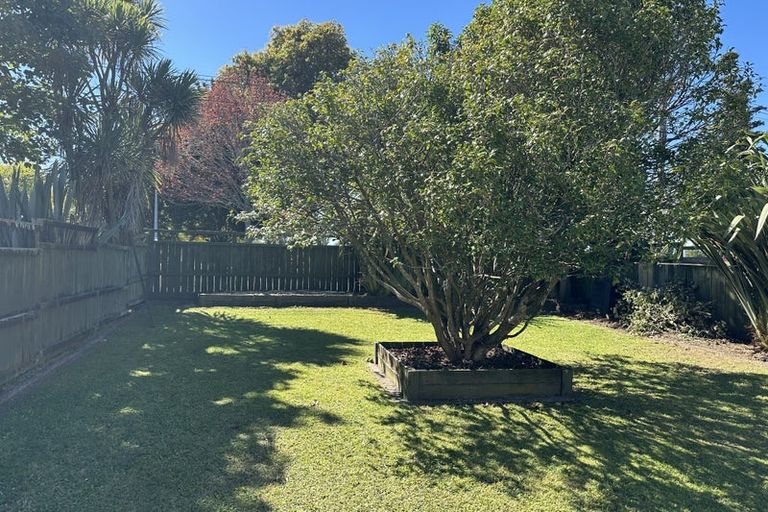 Photo of property in 133 Galloway Street, Hamilton East, Hamilton, 3216