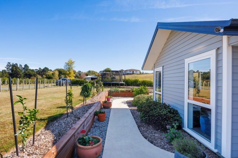 Photo of property in 192a Awahuri Feilding Road, Feilding, 4775