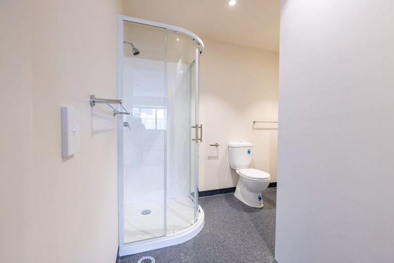 Photo of property in Te Kainga Te Aka, 203 Willis Street, Te Aro, Wellington, 6011