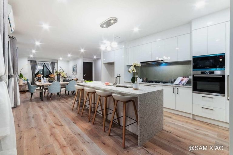 Photo of property in 20 Silvereye Road, Hobsonville, Auckland, 0616