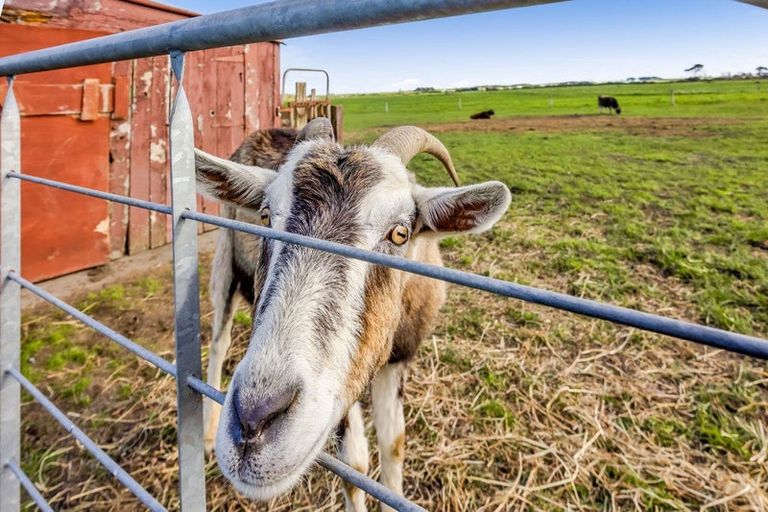 Photo of property in 39 Auroa Road, Otakeho, Hawera, 4678