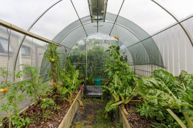 Photo of property in 1 Rangiora Place, Inglewood, 4330