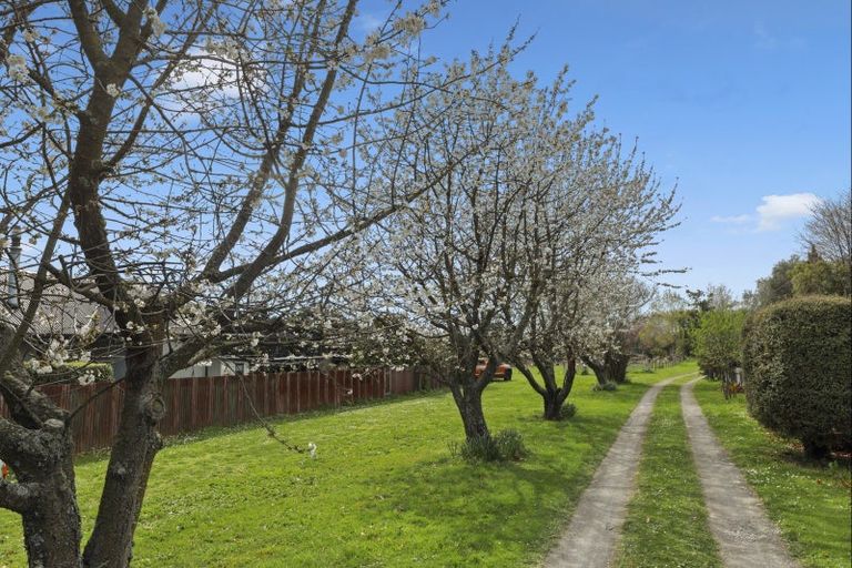 Photo of property in 12 Hammerichs Road, Rapaura, Blenheim, 7272