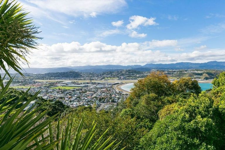 Photo of property in 53 Hornsey Road, Melrose, Wellington, 6023