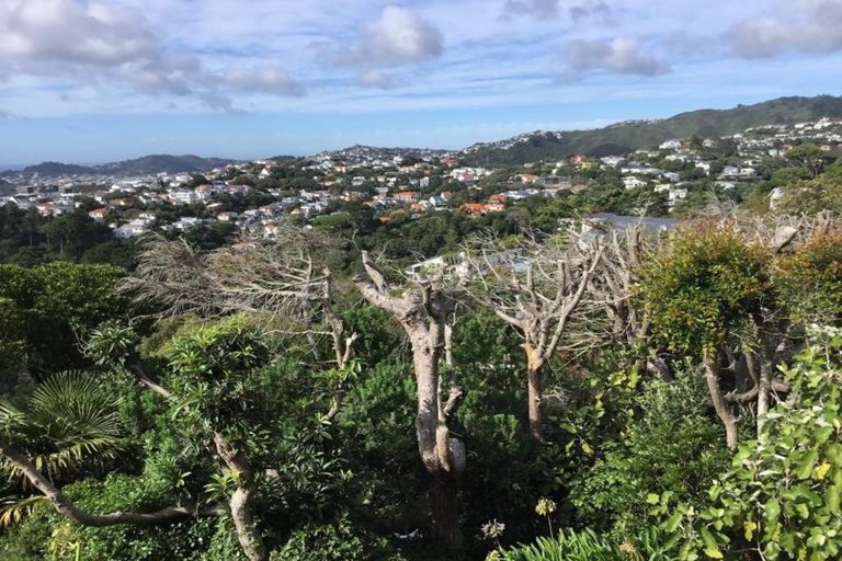 Photo of property in 61 Orangi Kaupapa Road, Northland, Wellington, 6012