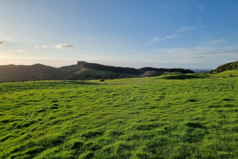 Photo of property in 165 Kereru Road, Glen Massey, Ngaruawahia, 3794