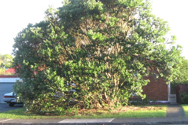 Photo of property in 2/82 Moore Street, Hillcrest, Auckland, 0627