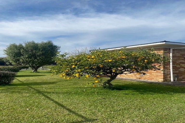 Photo of property in 17 Augusta Street, Fairfield, Hamilton, 3214