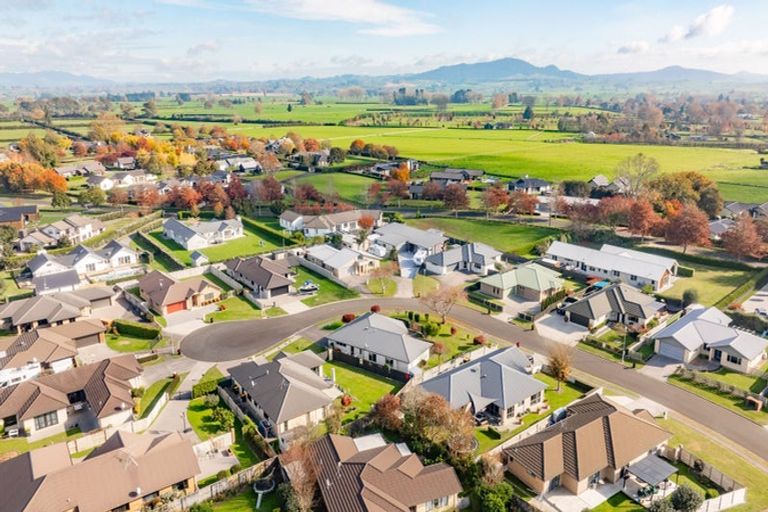 Photo of property in 25 Mckenzie Place, Matamata, 3400