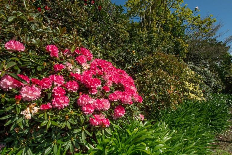 Photo of property in 61 Westridge Drive, Tauriko, Tauranga, 3110