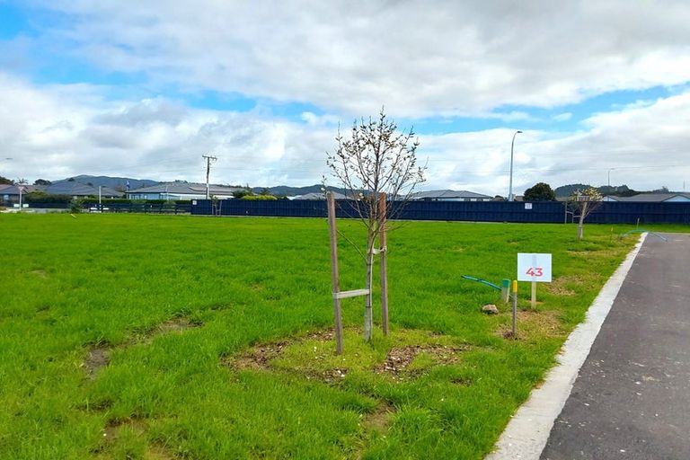 Photo of property in 38 Ferry Road, Waipu, 0510