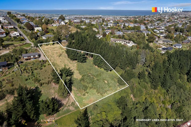 Photo of property in 12 Nursery Lane, Belleknowes, Dunedin, 9011