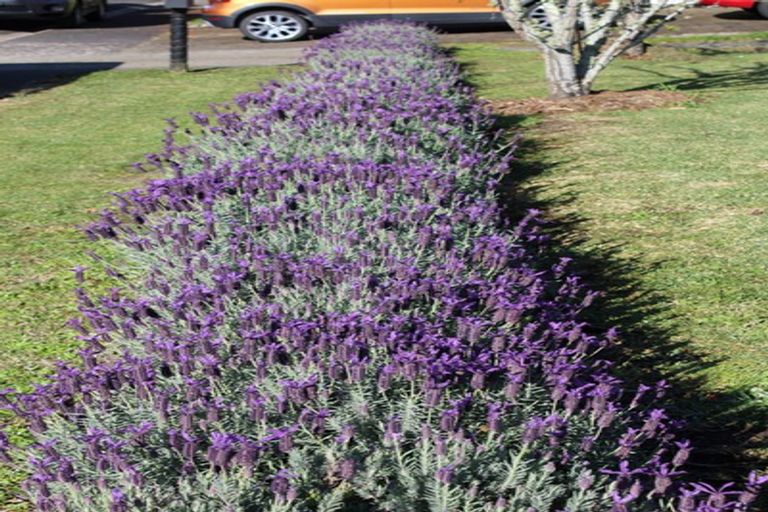 Photo of property in 21 Nicholas Avenue, Whitianga, 3510