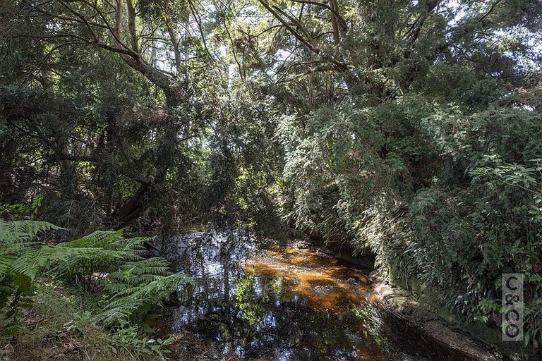 Photo of property in 1134 Old North Road, Helensville, Waimauku, 0882