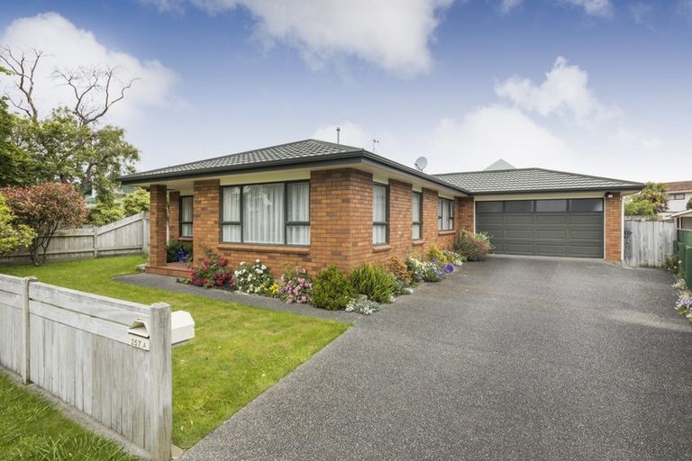 Photo of property in 257a Kimbolton Road, Feilding, 4702