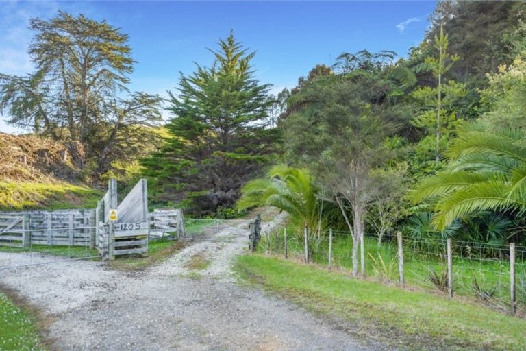 Photo of property in 1207 Harbour Road, Hauturu, Oparau, 3886