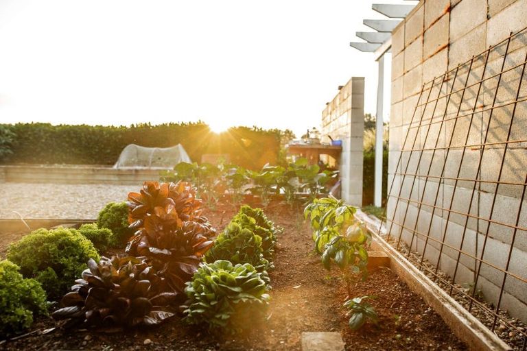 Photo of property in 232 Woodside Road, Matangi, Hamilton, 3284