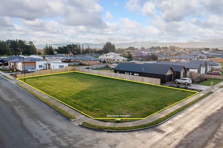 Photo of property in 41 Craigmillar Street, Solway, Masterton, 5810
