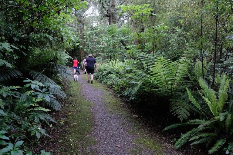 Photo of property in 4 Erskine Street, Tuatapere, 9620