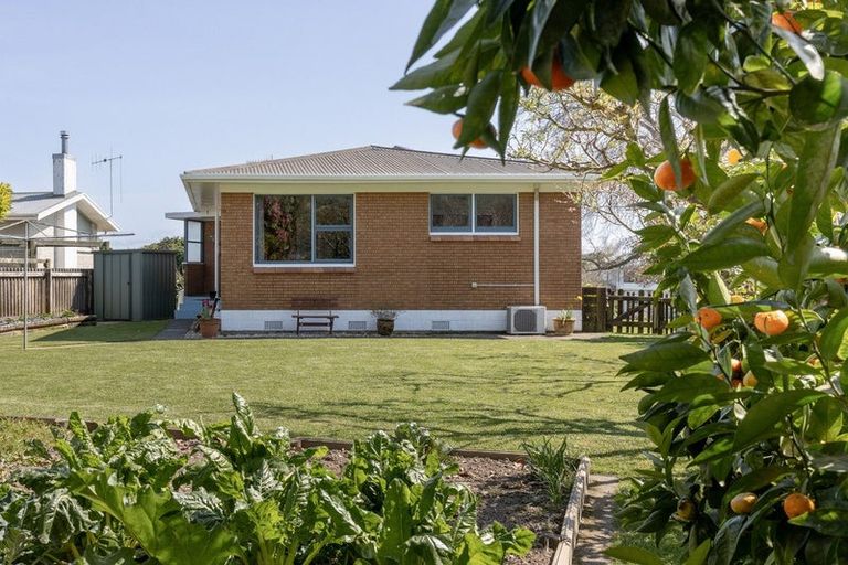 Photo of property in 8 Eleanor Place, Whakatane, 3120