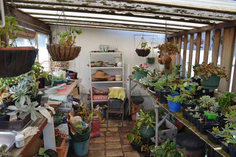 Photo of property in 6 Fraser Street, Kawerau, 3127