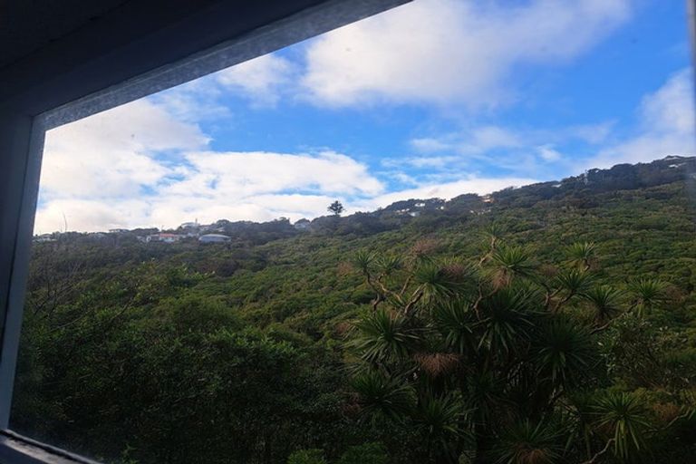 Photo of property in 51 Albemarle Road, Northland, Wellington, 6012