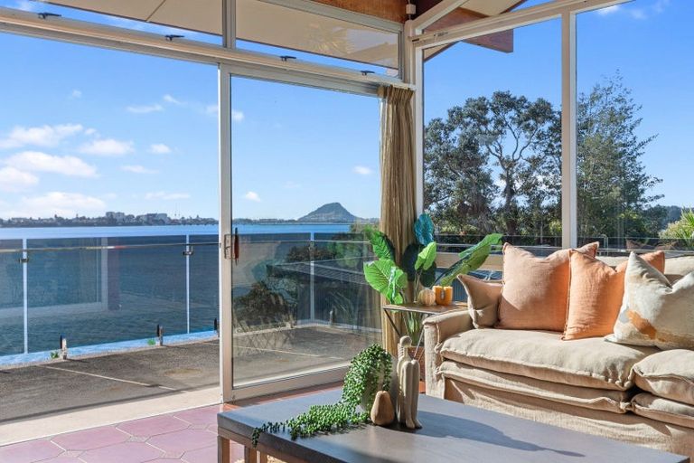 Photo of property in 348 Maungatapu Road, Maungatapu, Tauranga, 3112