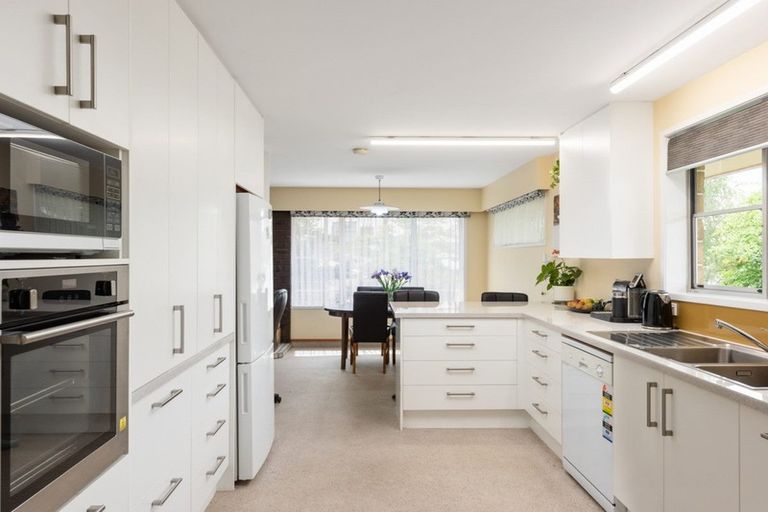 Photo of property in 41 Dillon Street, Blenheim, 7201