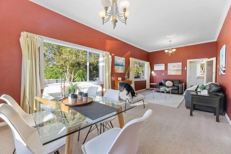 Photo of property in 17 Woodhaugh Street, Woodhaugh, Dunedin, 9010