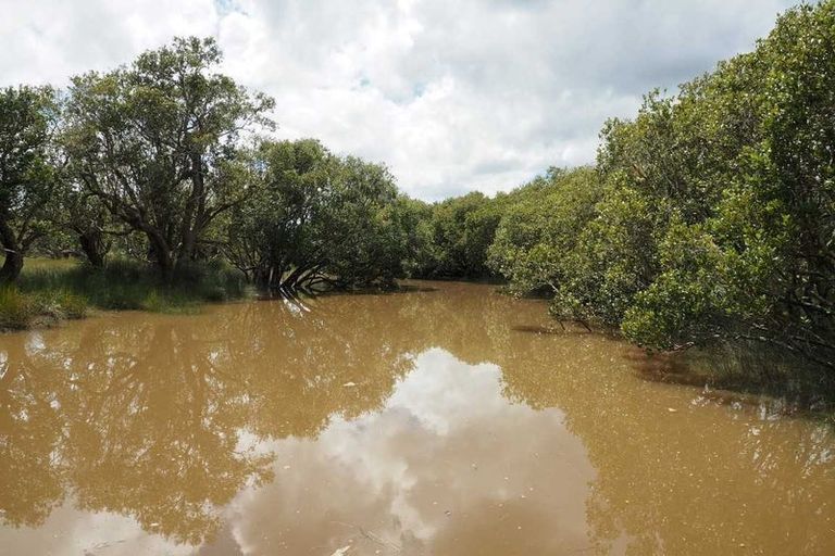 Photo of property in 65 Curtis Road, Rawene, Kaikohe, 0473