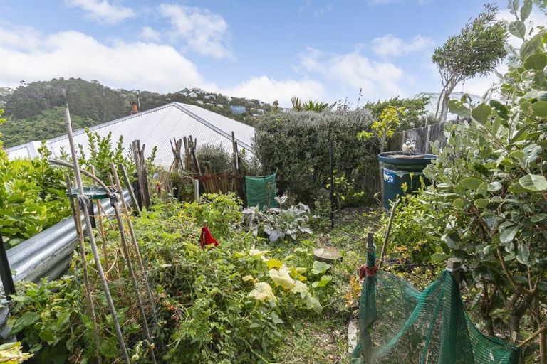 Photo of property in 37 Durham Street, Aro Valley, Wellington, 6021