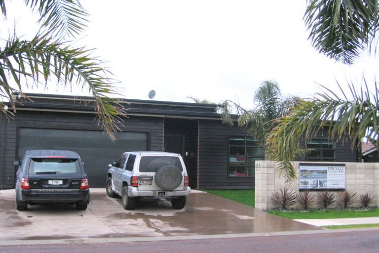 Photo of property in 133 Motu Hei, Pauanui, Hikuai, 3579