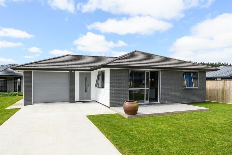 Photo of property in 35 Oldfield Lane, Marton, 4710