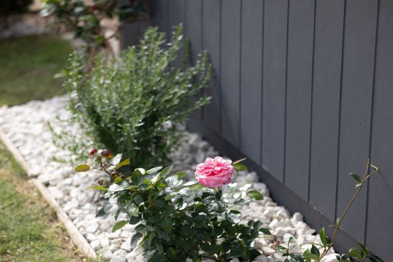 Photo of property in 1 Sapling Lane, Glenview, Hamilton, 3206